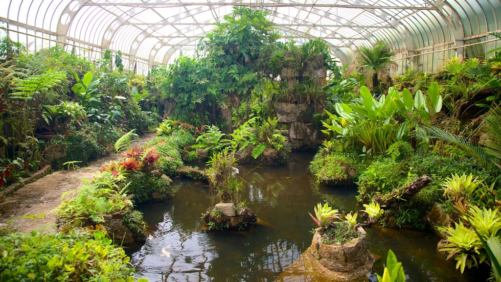 Jardín botánico de Sao Paulo mostrando un parque