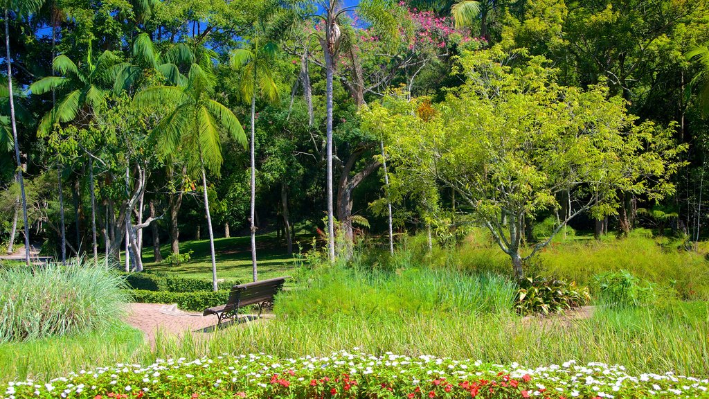 São Paulos botaniska trädgård presenterar en trädgård