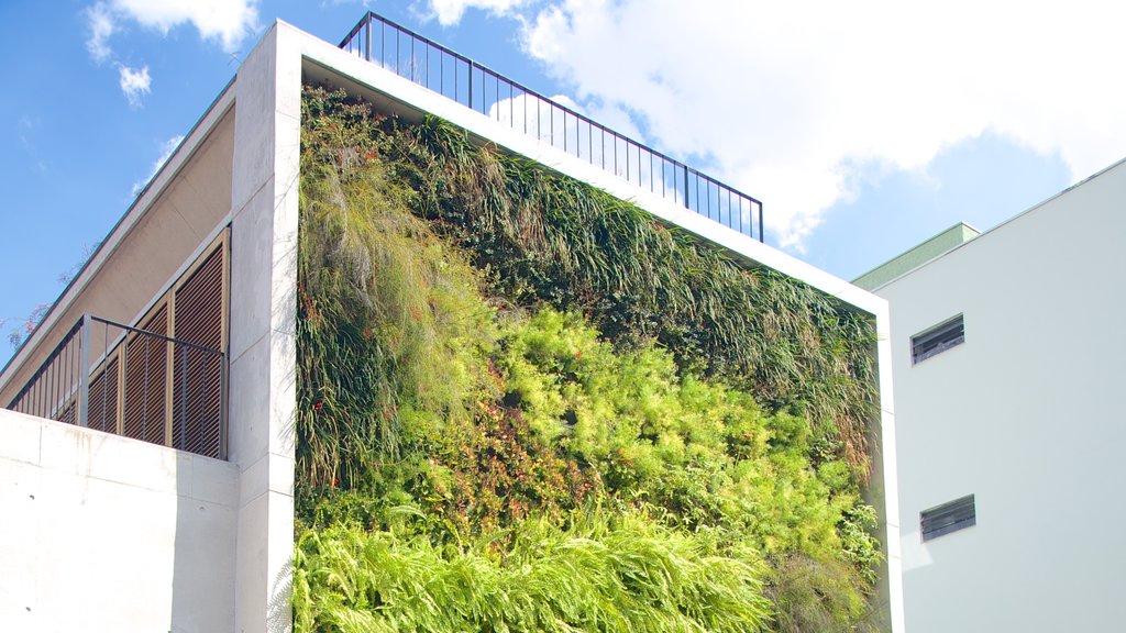 Vila Madalena featuring modern architecture