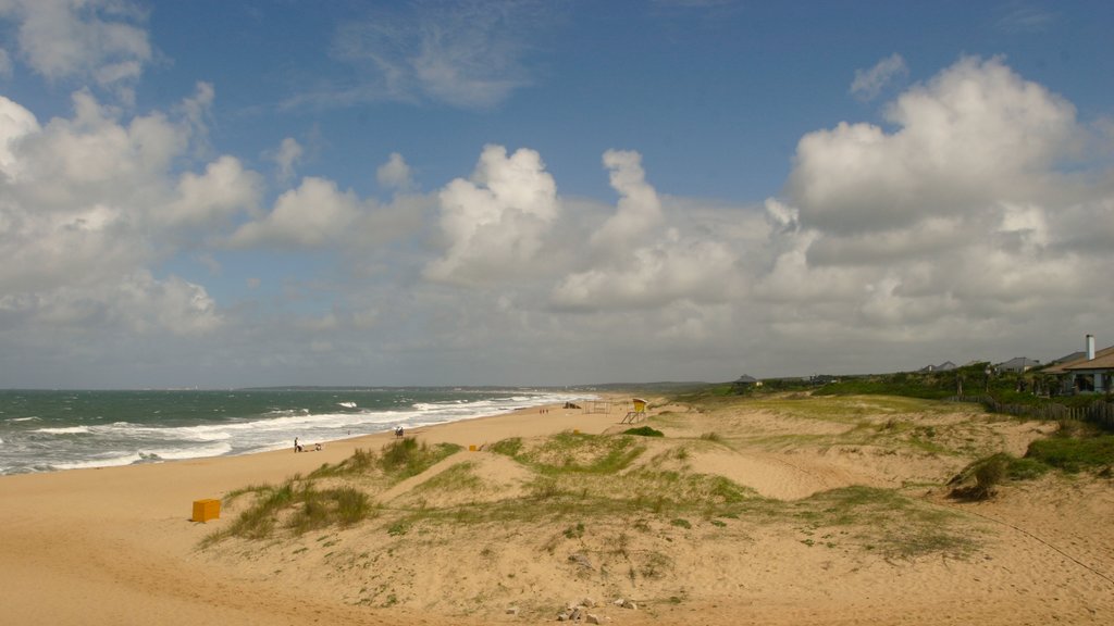 La Pedrera which includes a beach