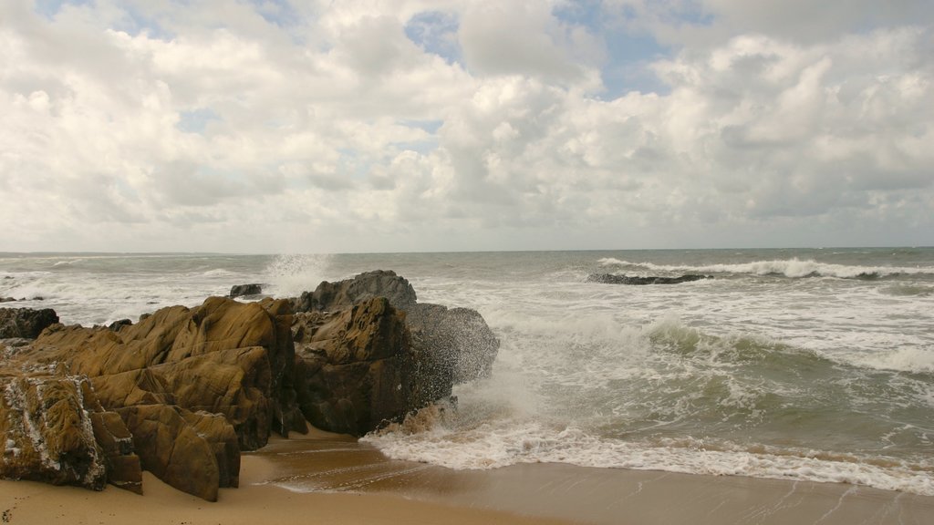 La Pedrera featuring a beach and rocky coastline