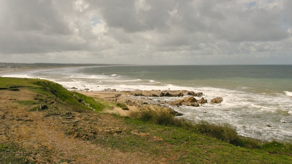 La Pedrera showing rugged coastline