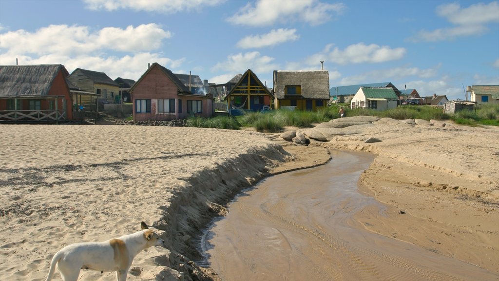 Punta del Diablo que inclui uma cidade pequena ou vila