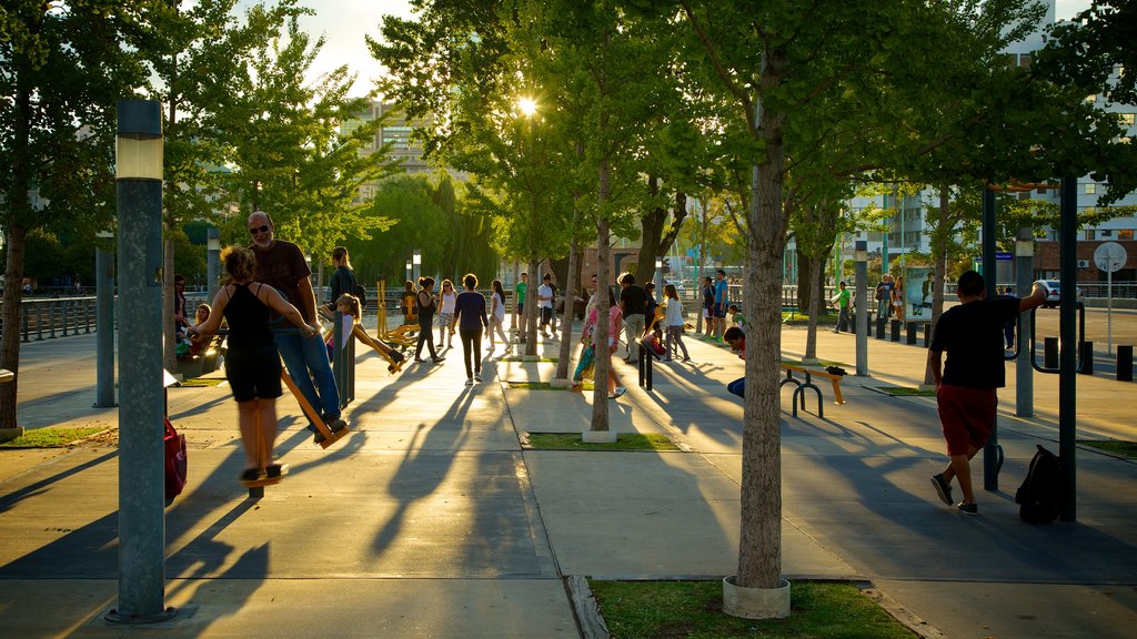 Puerto Madero which includes a sunset as well as a large group of people