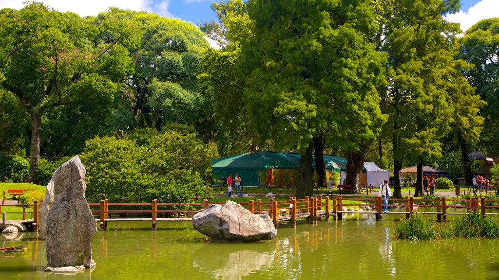 Japanese Garden showing a park and a pond