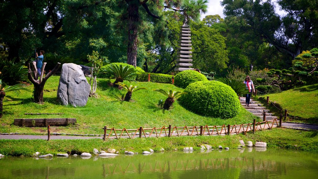 Japanese Garden showing a pond and a garden