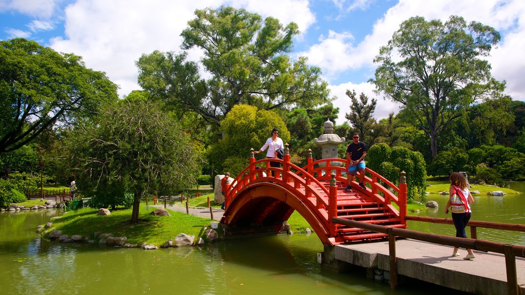 Japanese Garden showing a park and a pond