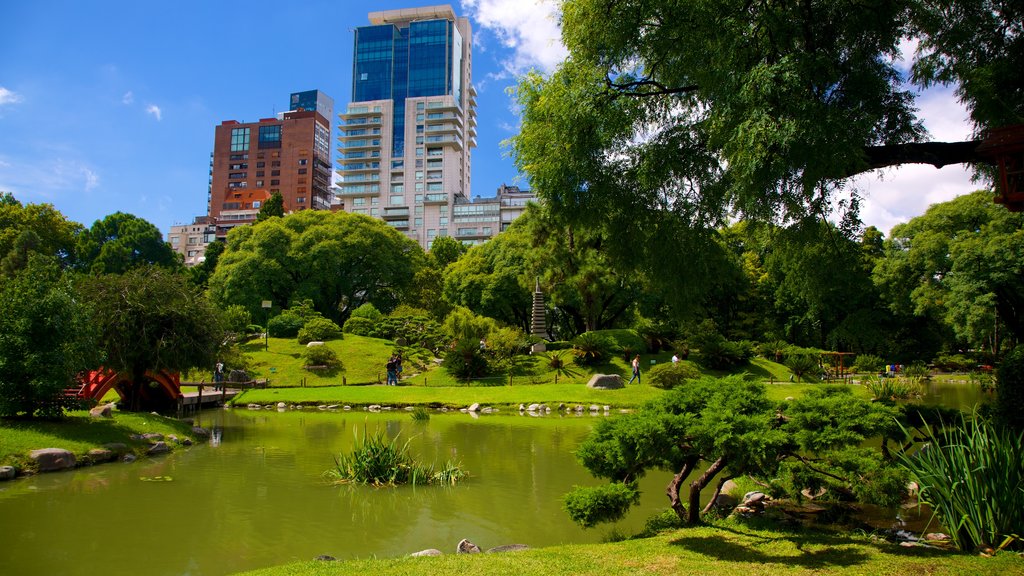 Japanese Garden showing a pond and a park