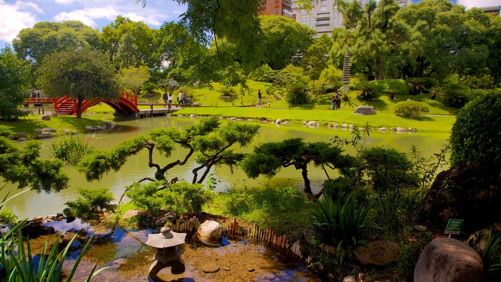 Japanese Garden showing a pond and a park