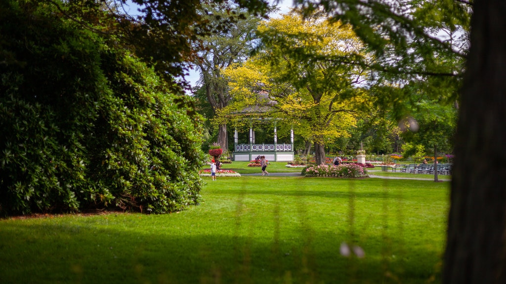 Halifax Public Gardens que inclui um parque