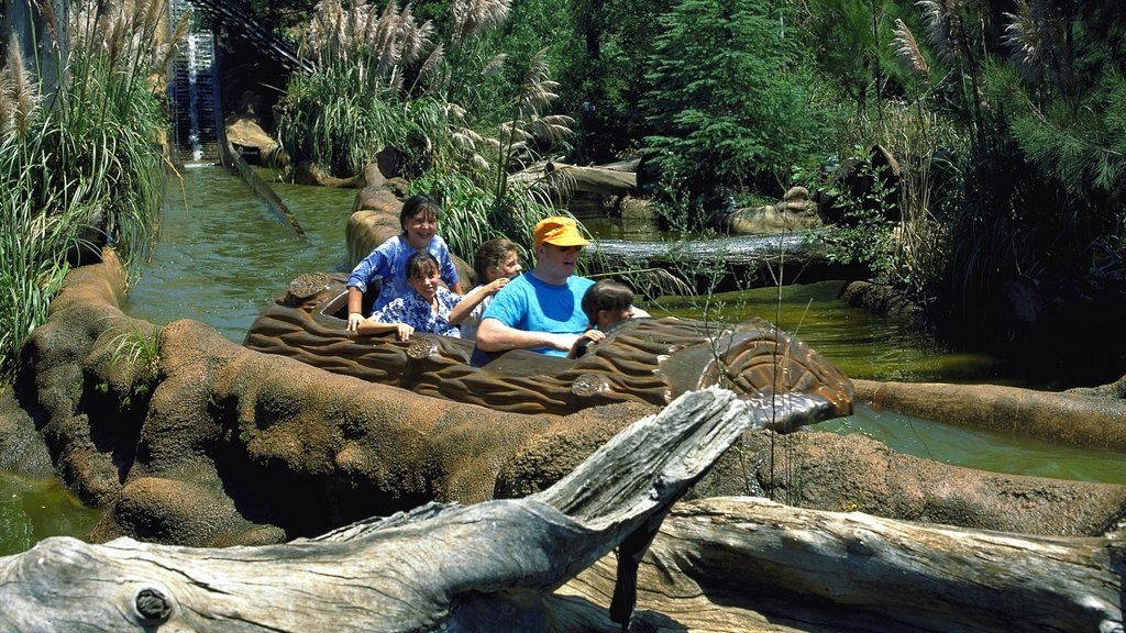 Joanesburgo que inclui um parque aquático assim como uma família