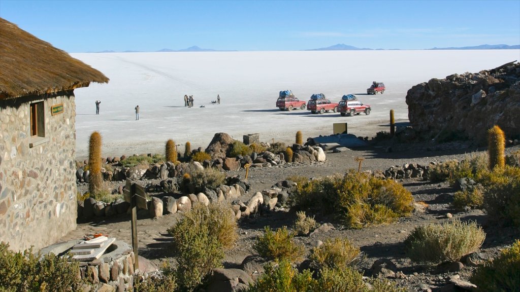 Salar de Uyuni qui includes vues du désert, panoramas et lac ou étang