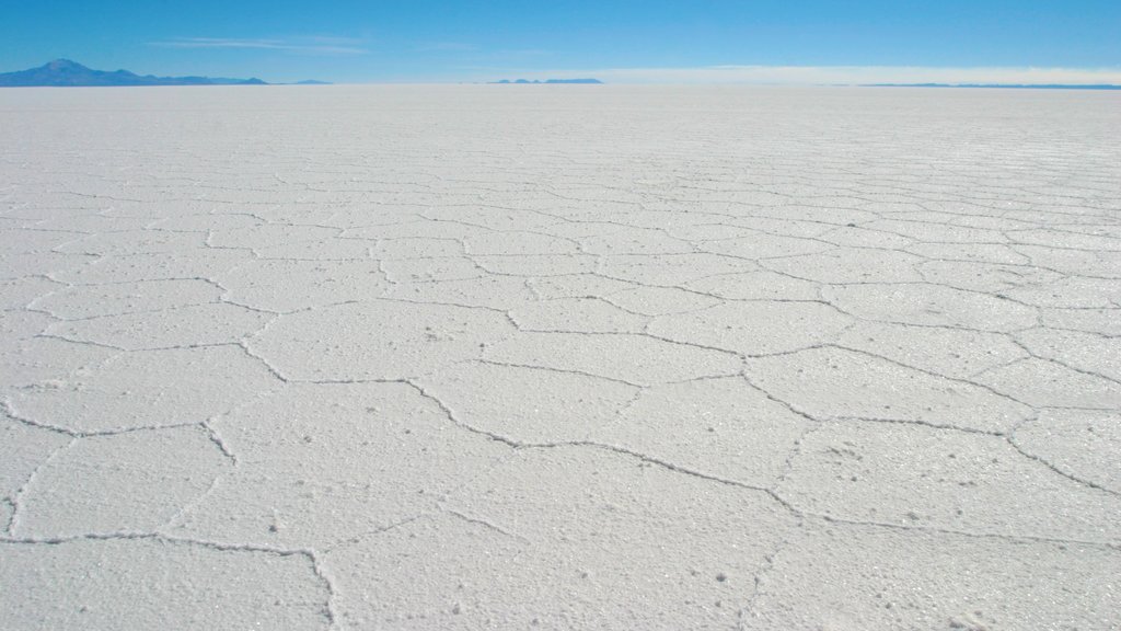 Salar de Uyuni showing landscape views and a lake or waterhole