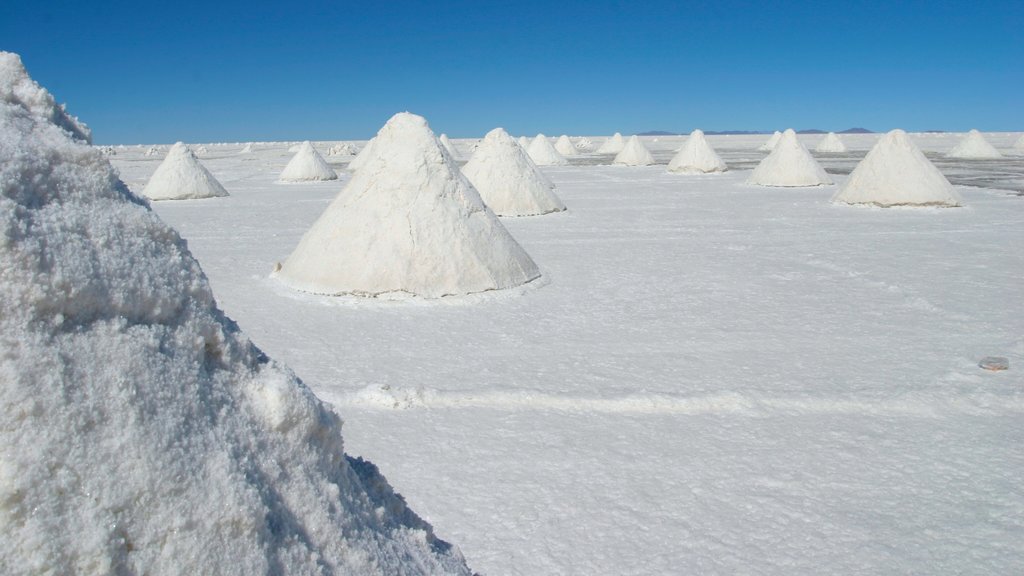 Salar de Uyuni que inclui um lago ou charco