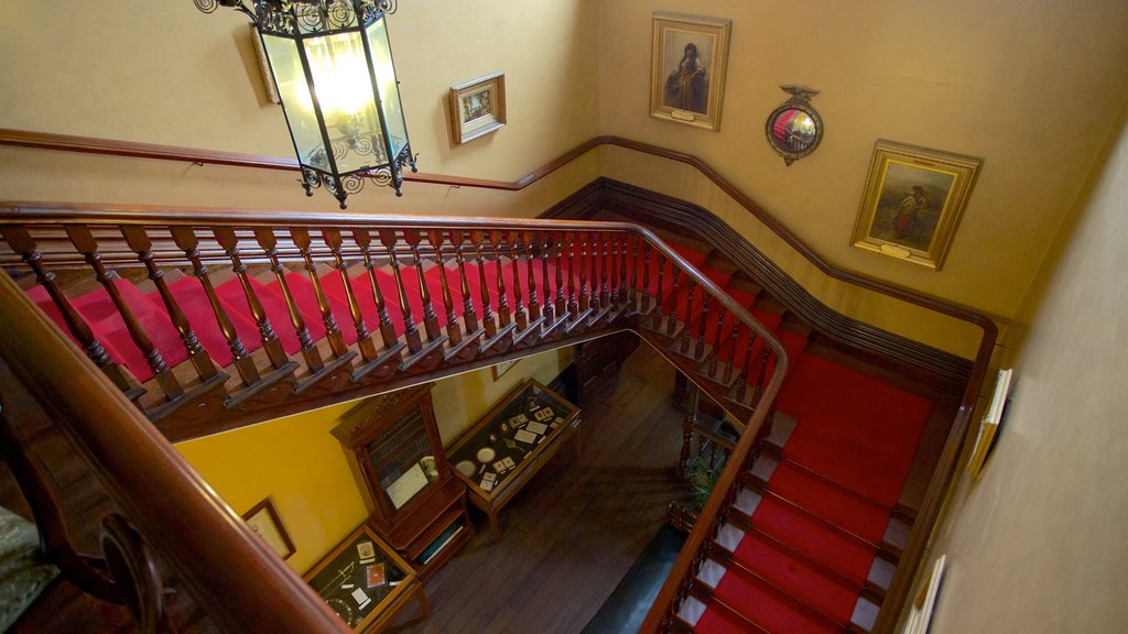 Ayers House Museum showing a house and interior views