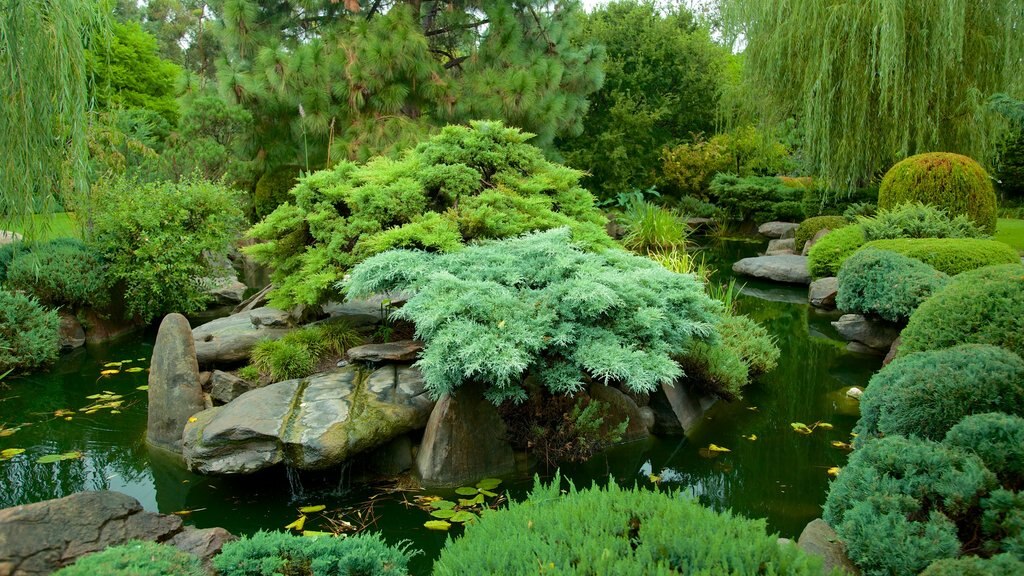 Himeji Gardens which includes a pond and a garden