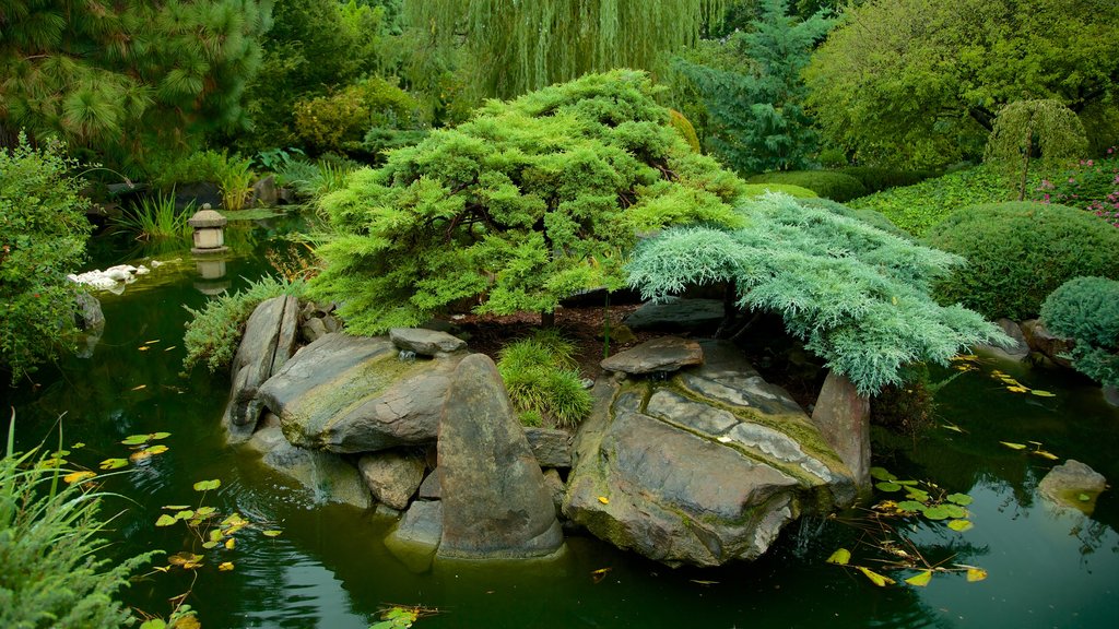 Himeji Gardens which includes a pond and a garden