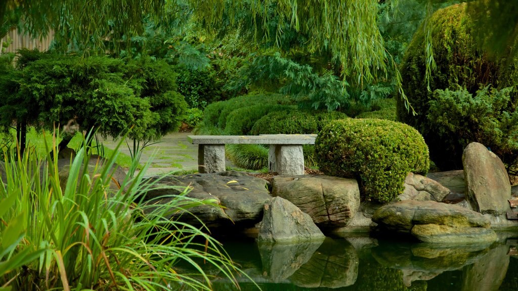 Himeji Gardens que inclui um jardim e um lago