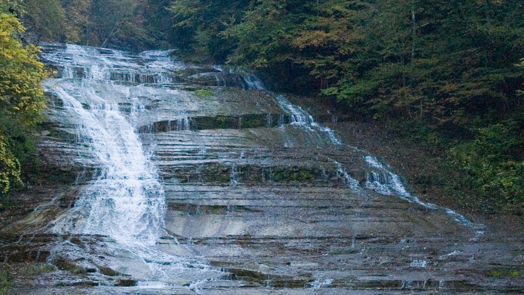 Ithaca showing a waterfall