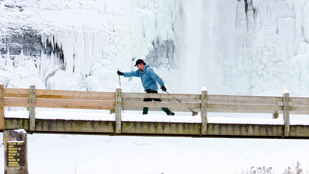 Ithaca showing snow, cross country skiing and a bridge