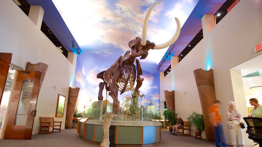 South Florida Museum featuring interior views