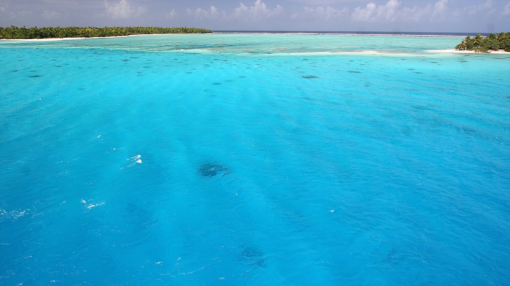 ランギロア どの含み 海岸線の眺め