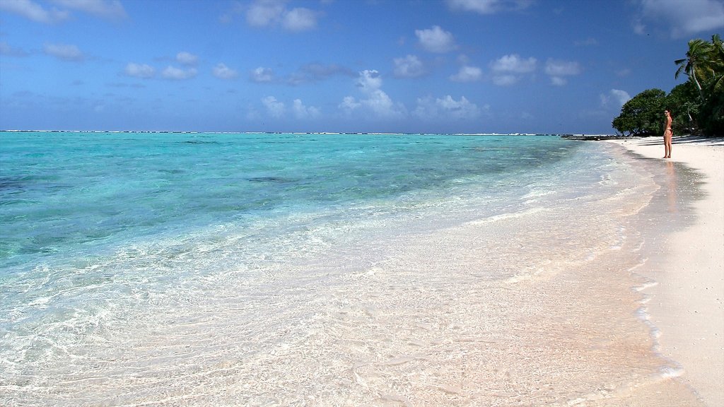 Rangiroa showing a sandy beach and general coastal views