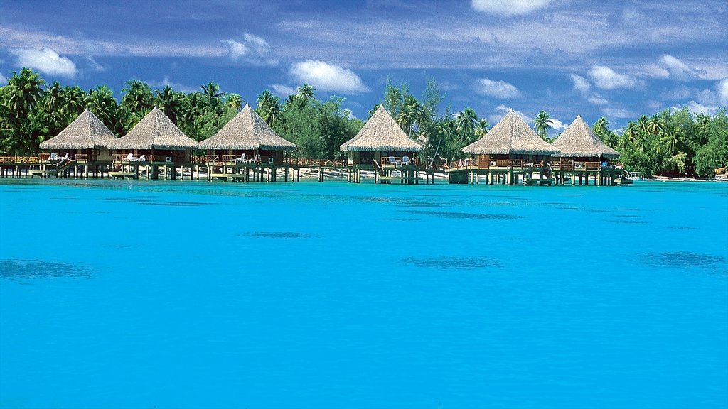 Rangiroa which includes tropical scenes and general coastal views