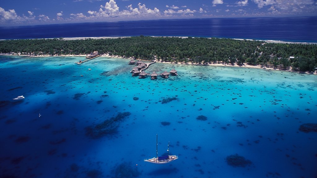 Rangiroa which includes general coastal views and island images