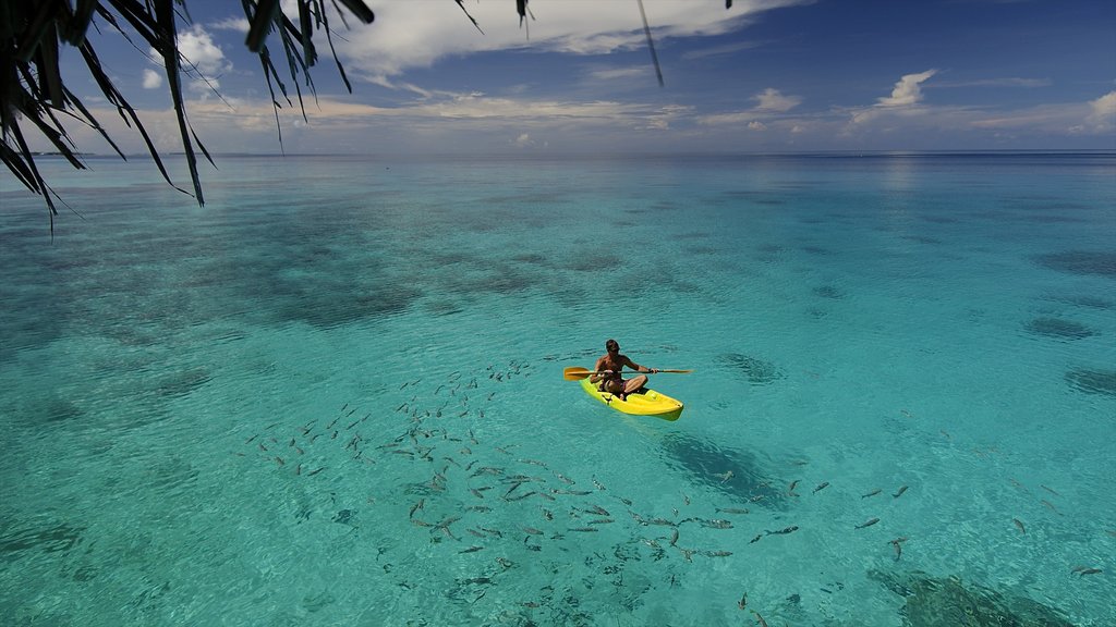 ランギロア どの含み 海岸線の眺め と カヤックあるいはカヌー