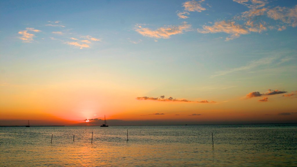 Cayo Corker que incluye una puesta de sol y vistas generales de la costa