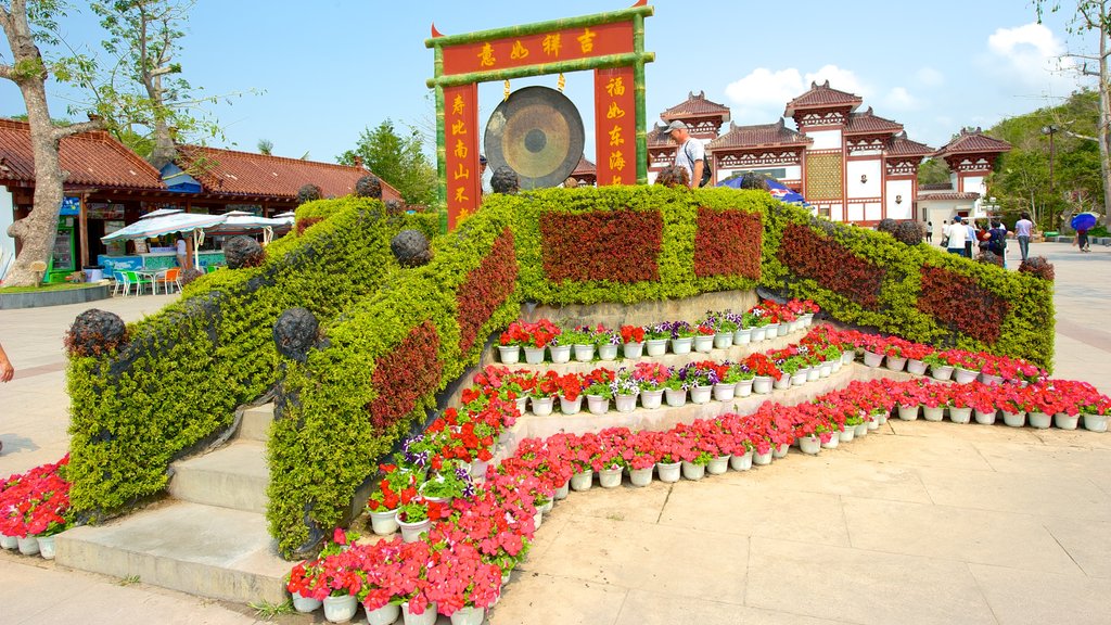 Guanyin-statuen i Hainan som viser monument, torg eller plass og blomster