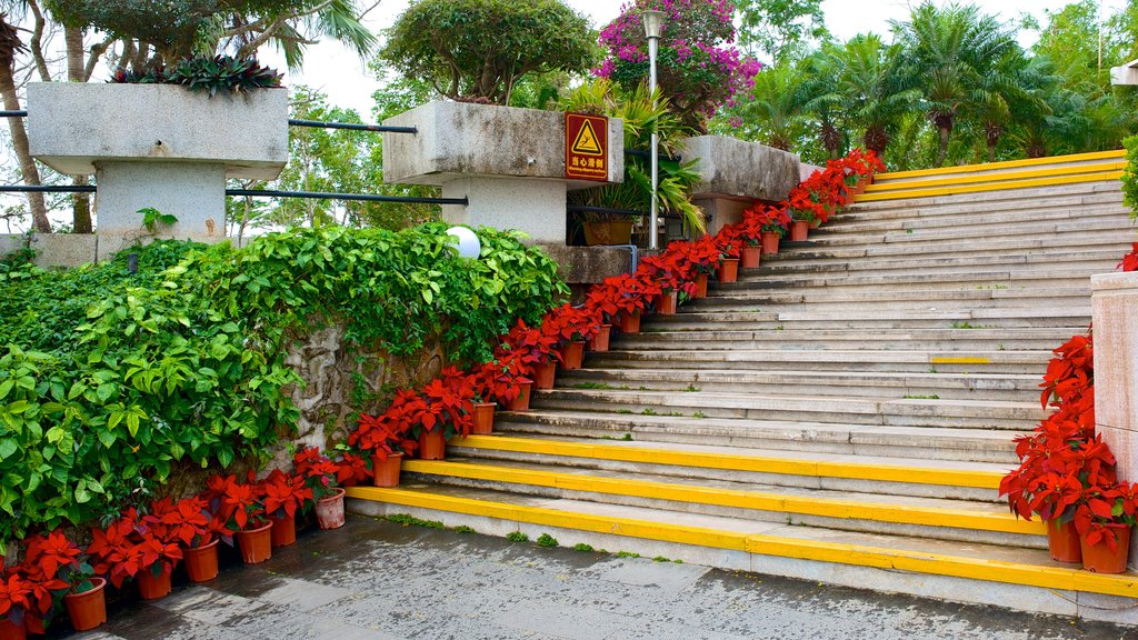 Parque Luhuitou mostrando un parque y flores