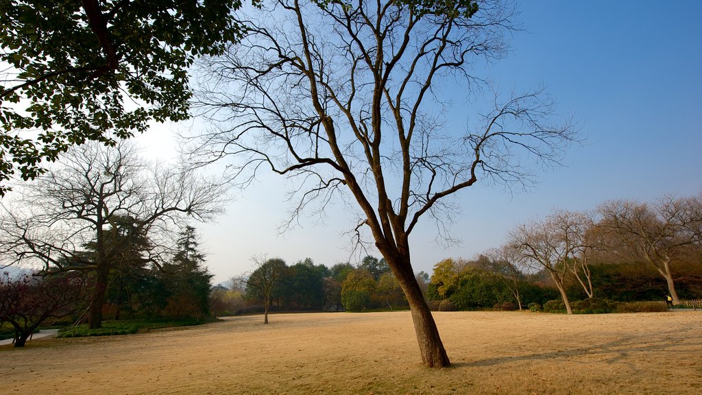 West Lake which includes a garden