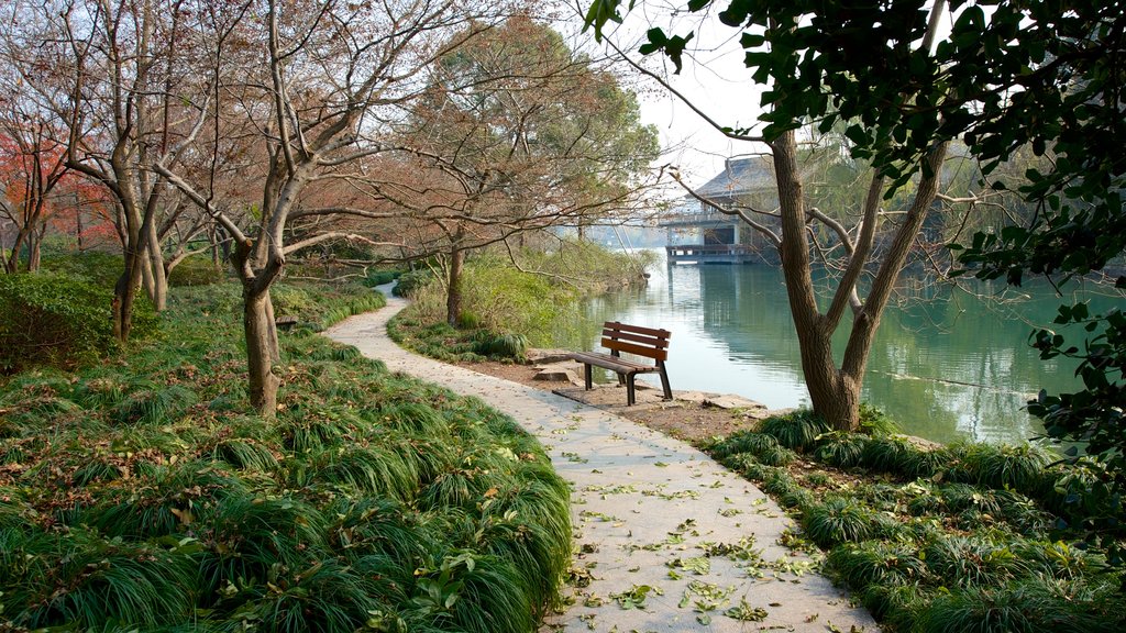 West Lake showing a lake or waterhole and a park