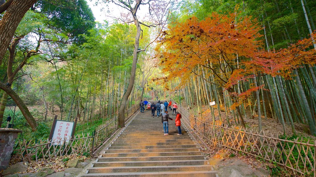 Baochu Pagoda which includes hiking or walking