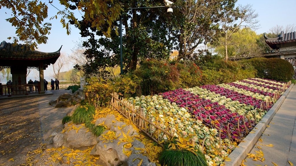 Lago Occidental mostrando jardín y flores