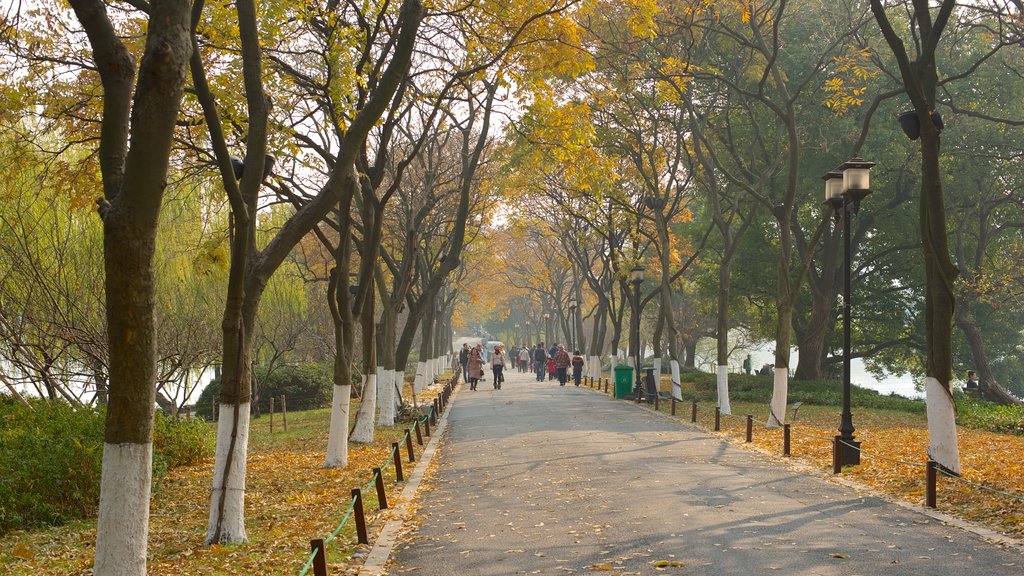 West Lake showing a park and autumn leaves