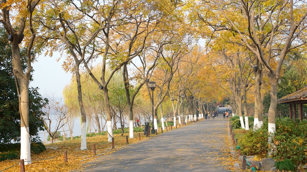 Lago Occidental ofreciendo colores de otoño y un parque