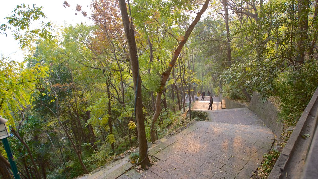 Pagoda de Baochu