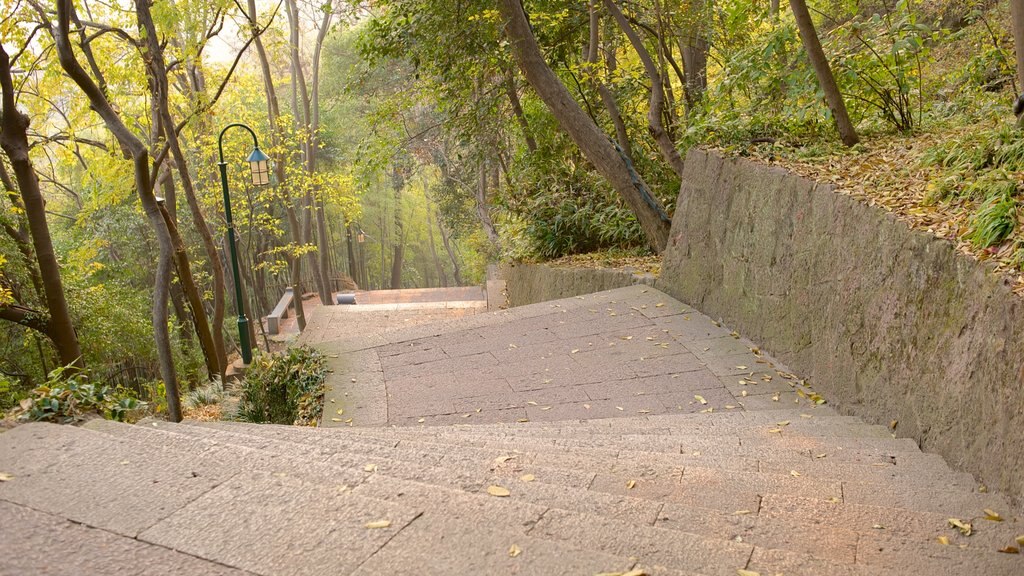 Baochu Pagoda showing forest scenes