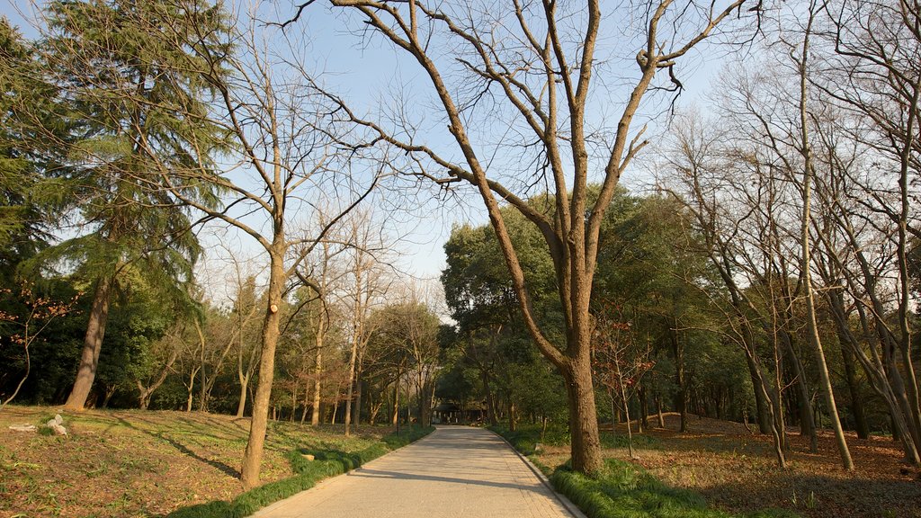 Hangzhou Botanical Garden showing a garden and autumn leaves