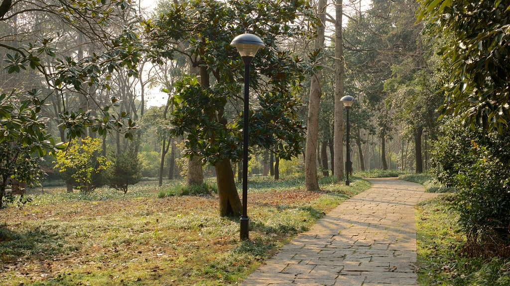 Hangzhou Botanical Garden featuring a park