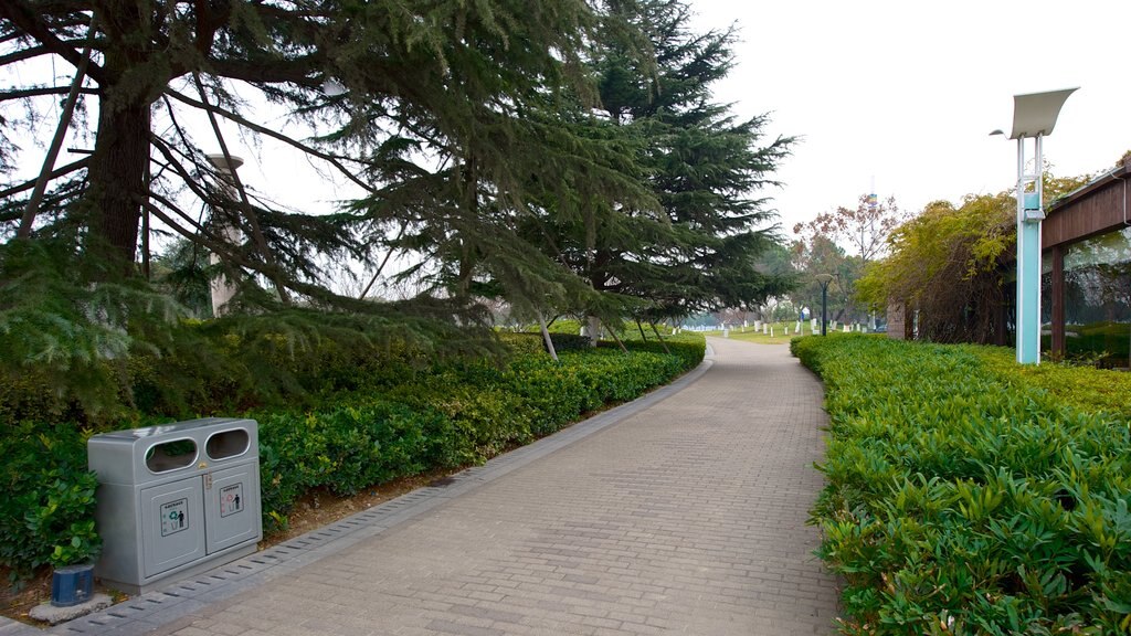 Jinji Lake featuring a garden