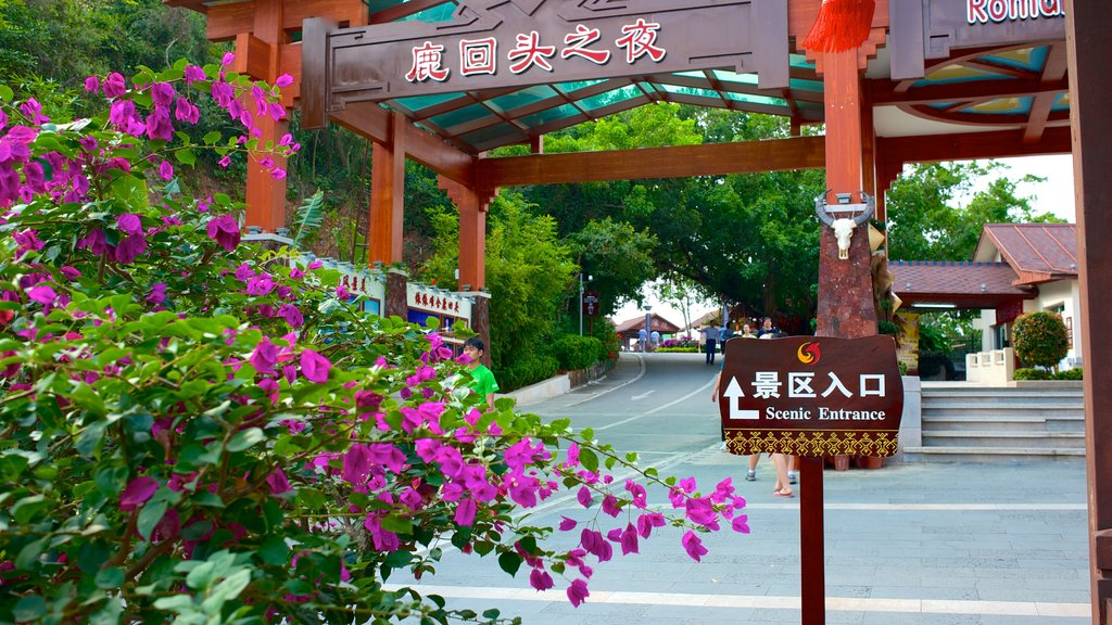 Luhuitou Park que inclui sinalização e flores