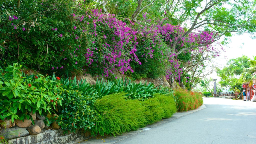 Parque Luhuitou que incluye un jardín y flores