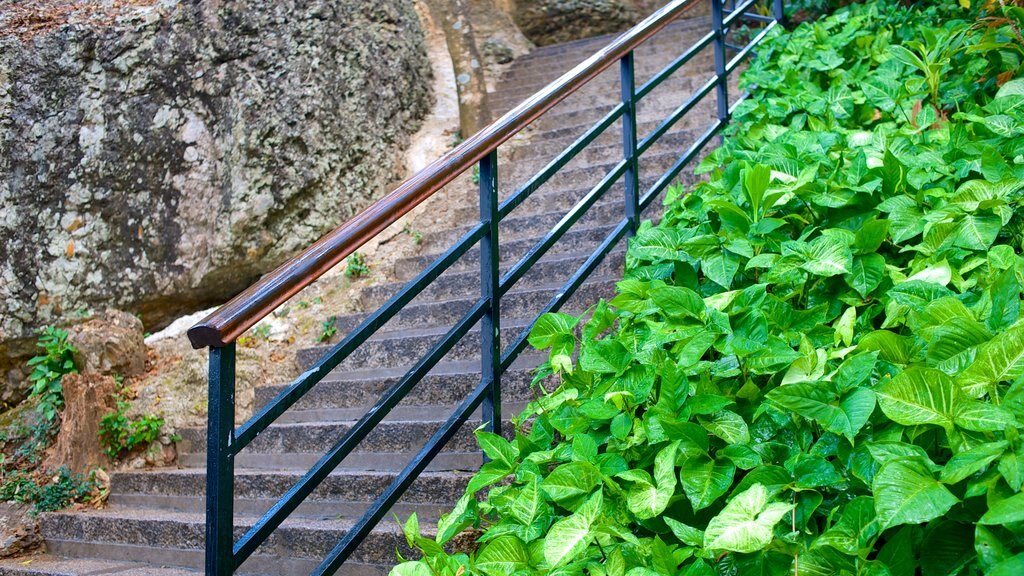 Parque Luhuitou mostrando un jardín