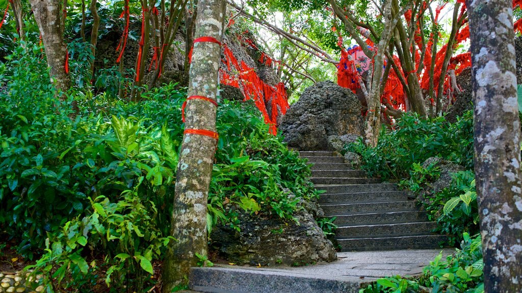 Luhuitou Park featuring forests