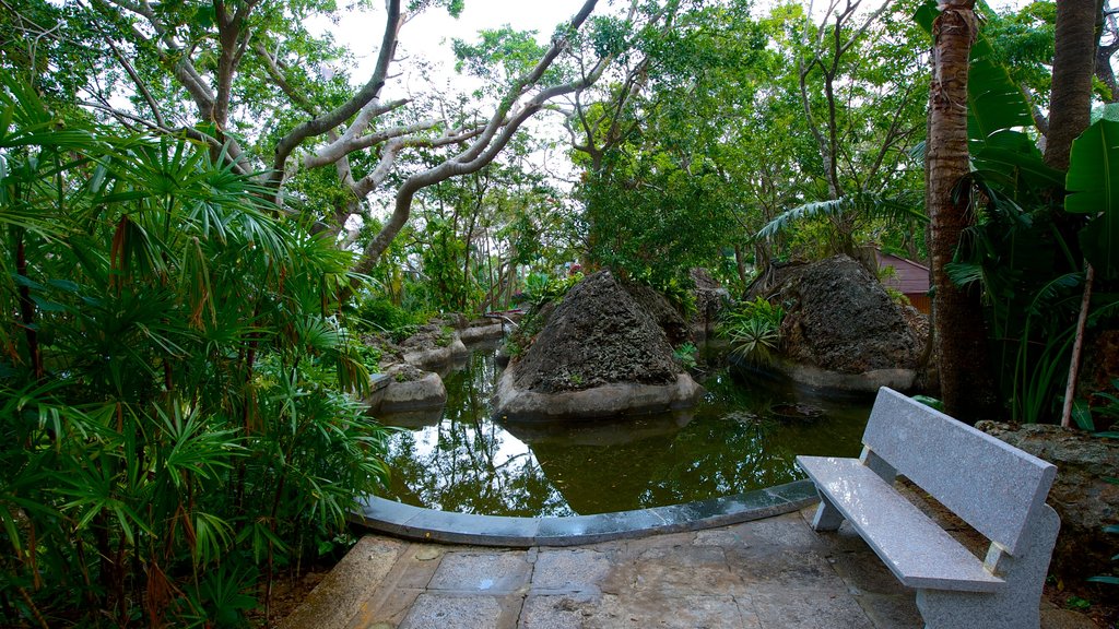 Luhuitou Park featuring a pond and a garden