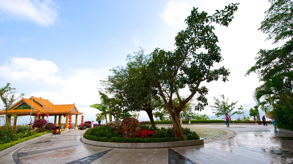 Parque Luhuitou mostrando un jardín